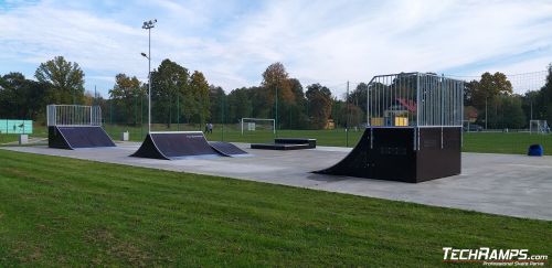 Przebudowa Skateparku Gogołowa 