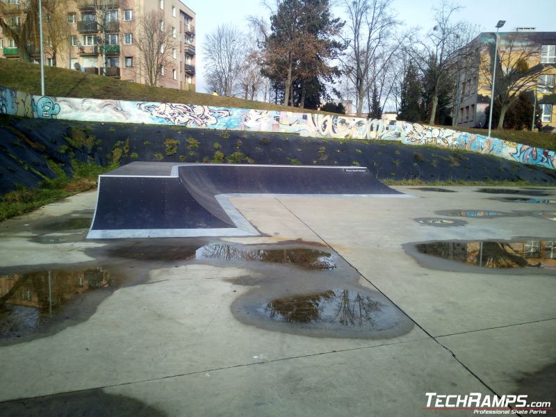 Techramps skatepark 