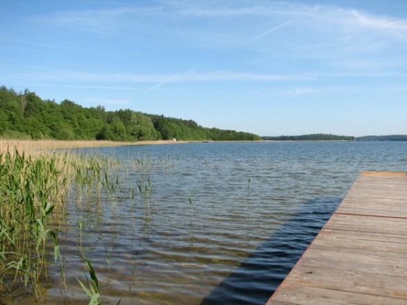 Nowy Skatepark w Złocieńcu